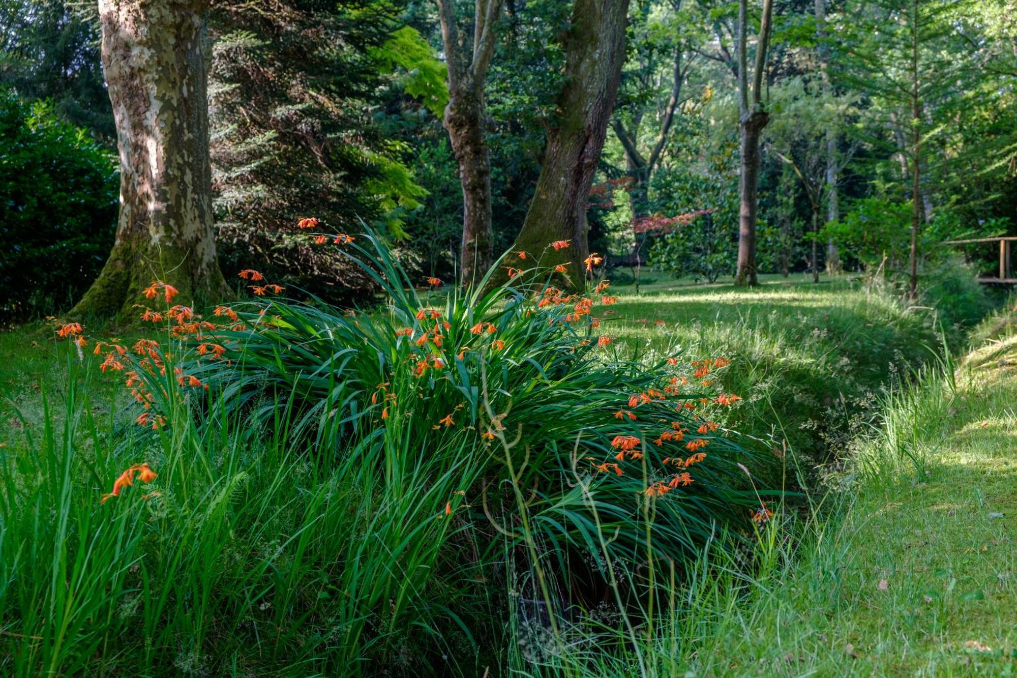 Parc De L'Aiguade Bed & Breakfast Saint-Paul-lès-Dax Dış mekan fotoğraf