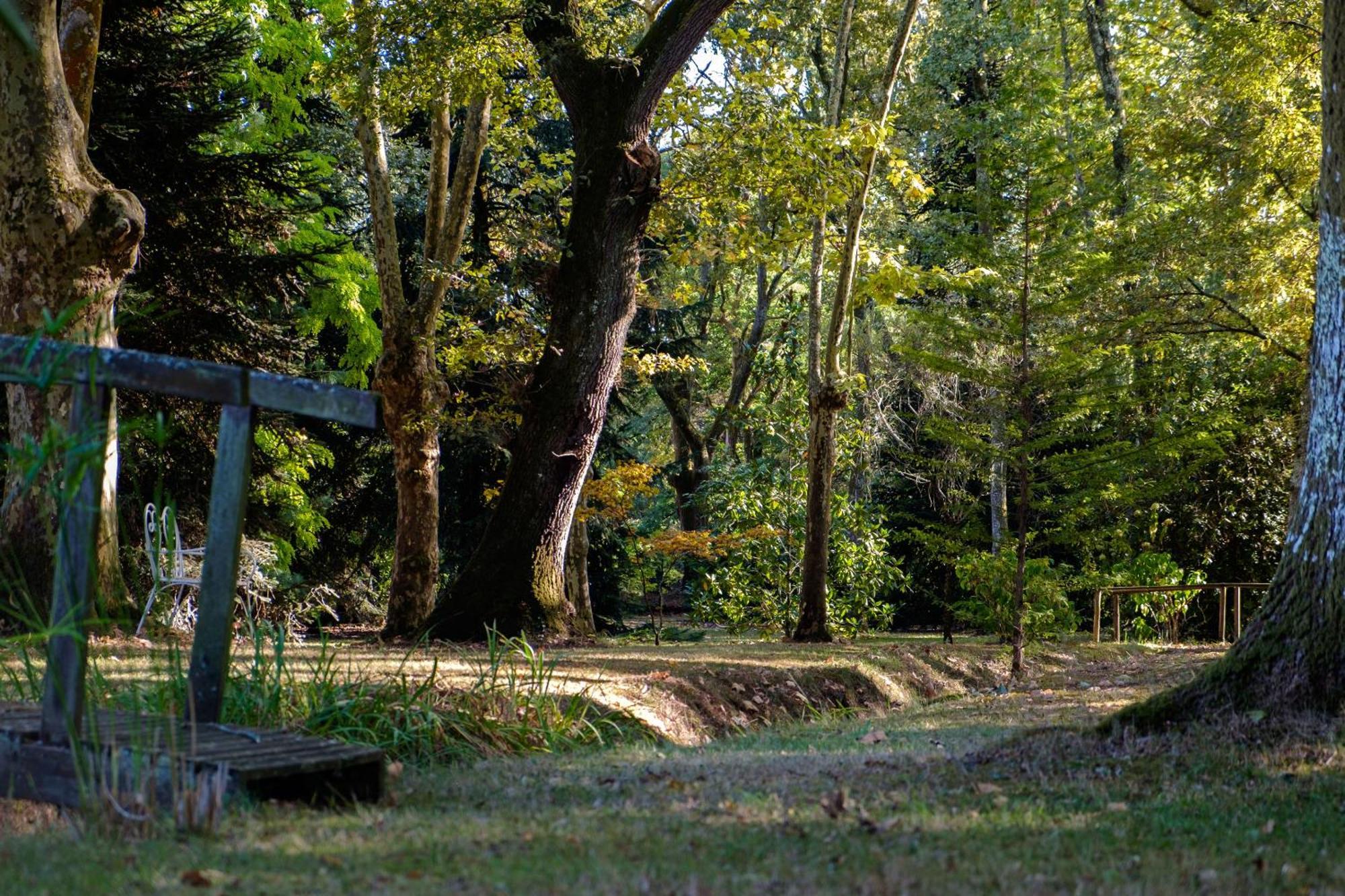 Parc De L'Aiguade Bed & Breakfast Saint-Paul-lès-Dax Dış mekan fotoğraf