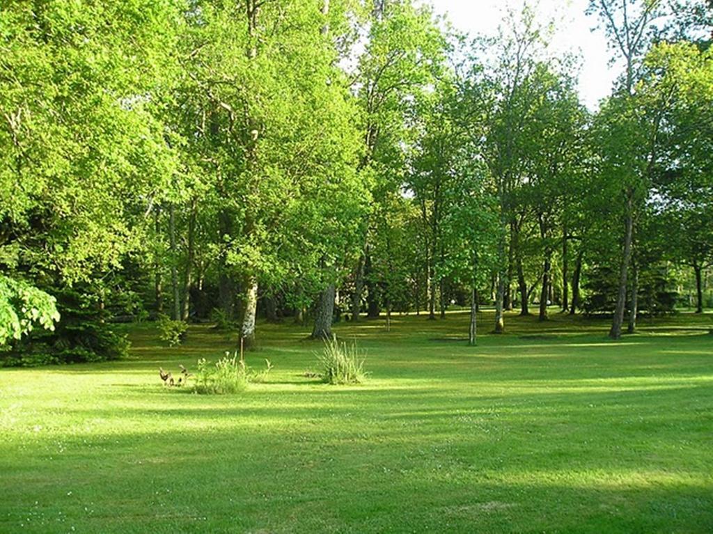 Parc De L'Aiguade Bed & Breakfast Saint-Paul-lès-Dax Oda fotoğraf