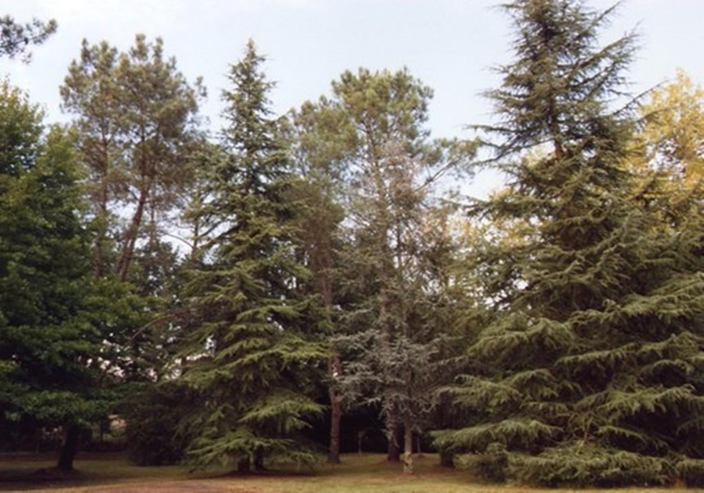 Parc De L'Aiguade Bed & Breakfast Saint-Paul-lès-Dax Dış mekan fotoğraf